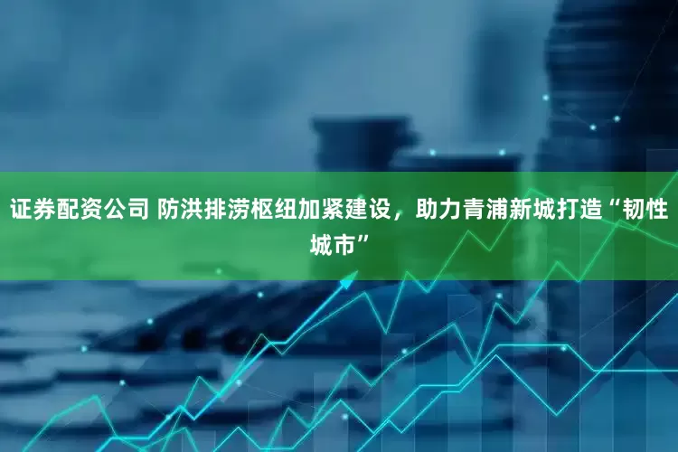 证券配资公司 防洪排涝枢纽加紧建设，助力青浦新城打造“韧性城市”